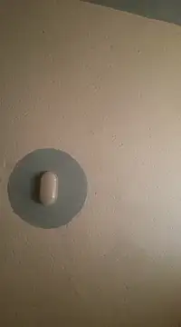 C-yoyo online show from February 26, 4:14 am