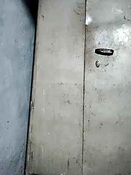 Snapshot of Hey_Ziya chatting on November 17, 11:10 pm Hey Ziya online show from November 17, 11:10 pm