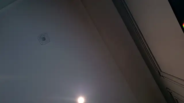 Liv Fay online show from December 28, 2:10 pm