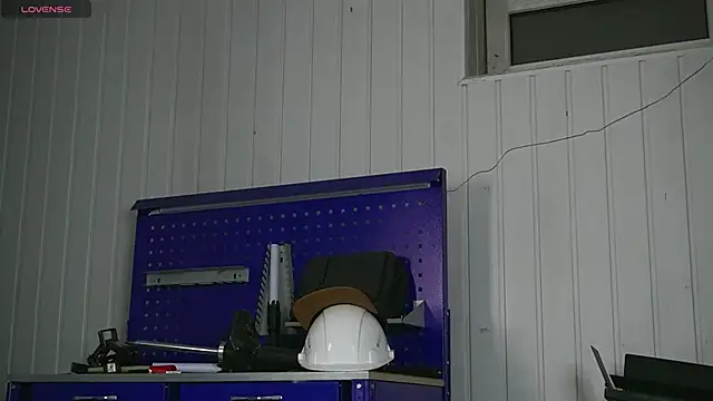 dustyn fox online show from January 17, 3:17 pm