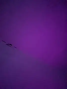 LiosArmando420 online show from January 6, 1:59 pm