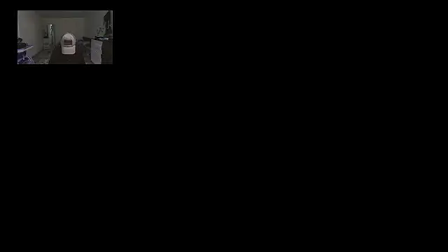 horfet online show from September 24, 5:49 pm