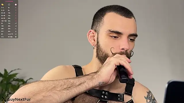 xteddy bear online show from December 13, 8:36 pm