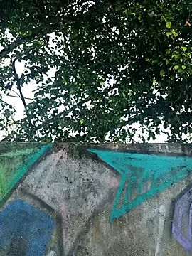 Snapshot of IgoramorimGG chatting on April 4, 10:02 am IgoramorimGG online show from April 4, 10:02 am