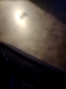 Snapshot of InexactPork chatting on March 25, 4:51 am InexactPork online show from March 25, 4:51 am