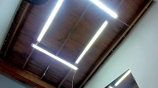 Snapshot of esteban_cor chatting on January 22, 6:42 am esteban cor online show from January 22, 6:42 am