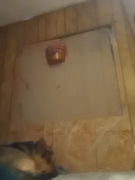 luke thighwalker2469 online show from February 15, 1:16 pm