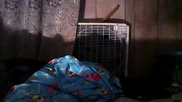 luke thighwalker2469 online show from December 2, 2:50 am