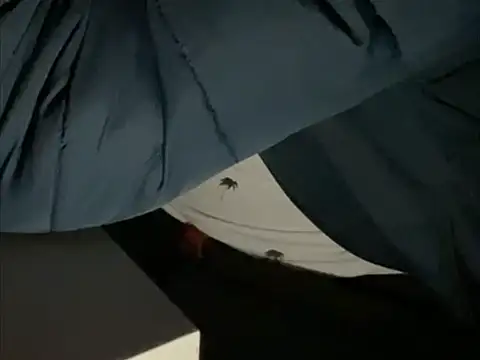 tomazu11 online show from October 26, 6:30 am