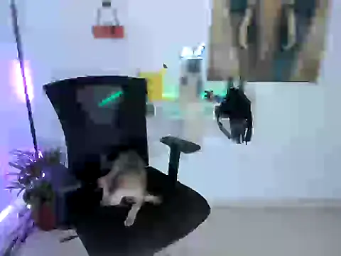 nairobbits online show from October 9, 1:09 pm