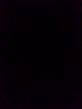 WrongedParvo online show from October 19, 11:49 pm