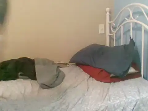 Snapshot of SmokingSloth chatting on March 9, 5:06 pm SmokingSloth online show from March 9, 5:06 pm