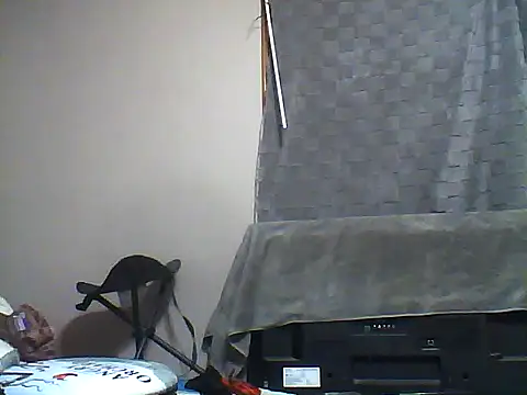 Snapshot of SmokingSloth chatting on December 5, 12:25 pm SmokingSloth online show from December 5, 12:25 pm