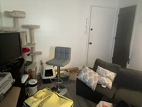 SpunCandy online show from June 8, 3:01 pm