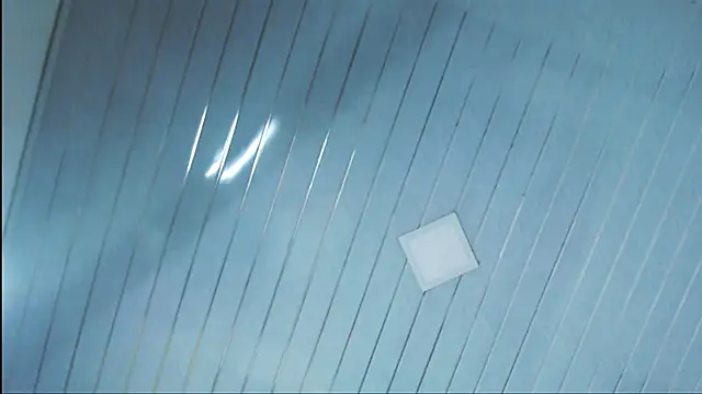 samy foox online show from December 22, 12:17 am