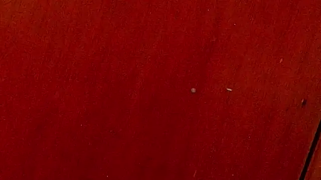 anisha x online show from October 4, 7:12 pm