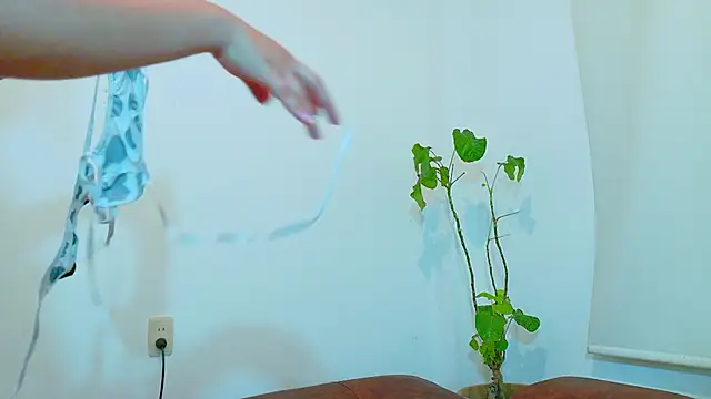 clydexxxbunny online show from December 7, 6:48 pm