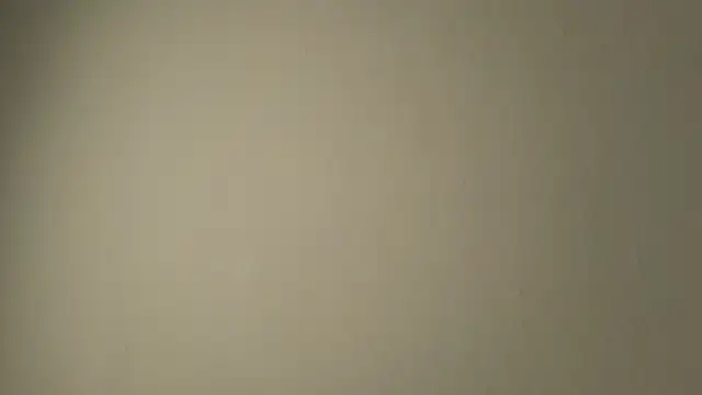 Sophia Cambpell online show from June 5, 10:37 pm