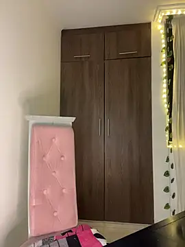 Snapshot of lina_pink chatting on February 17, 2:52 am lina pink online show from February 17, 2:52 am