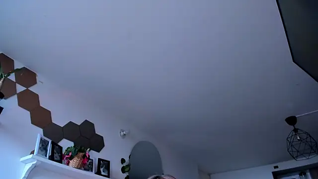 evy orange1 online show from March 5, 12:12 pm