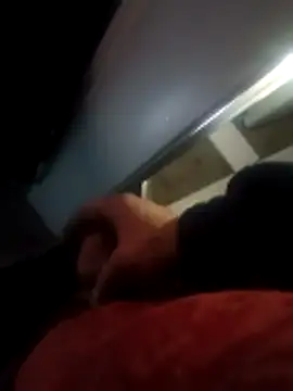 professorstudy online show from February 13, 12:45 pm