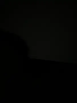 vienncica online show from January 14, 5:40 am