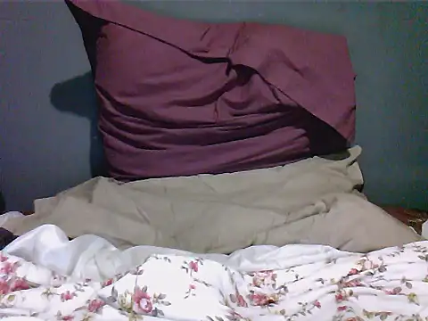 Snapshot of TheeRealShow chatting on February 8, 2:26 am TheeRealShow online show from February 8, 2:26 am