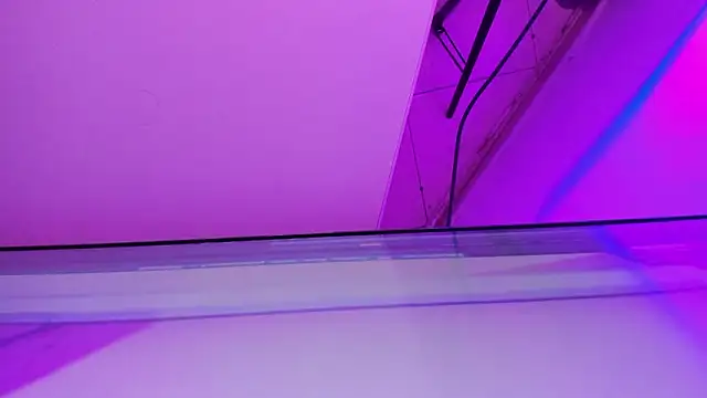 sarah  bigboobs online show from March 21, 10:20 am