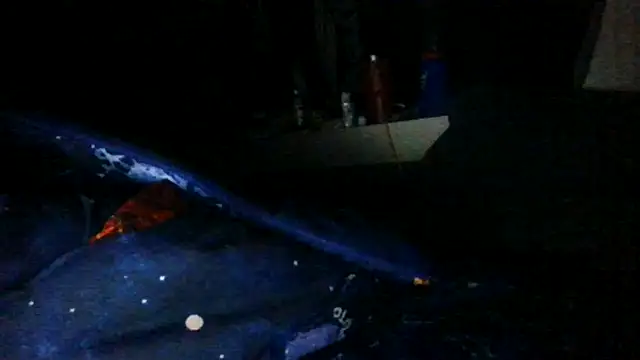 toast843 online show from February 9, 6:22 am