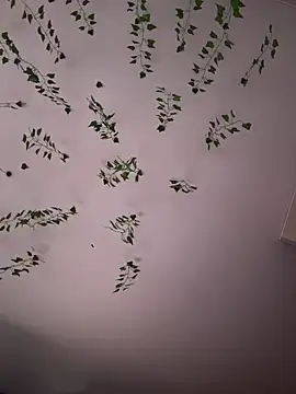 -Sexy Barbie- online show from November 5, 2:11 am