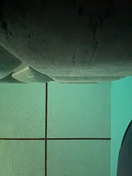 dulce celeste15 online show from November 15, 3:08 pm