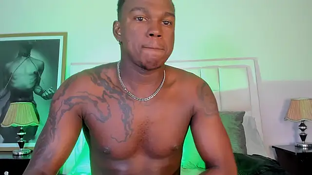 Snapshot of Troykhalil chatting on February 5, 12:42 am Troykhalil online show from February 5, 12:42 am