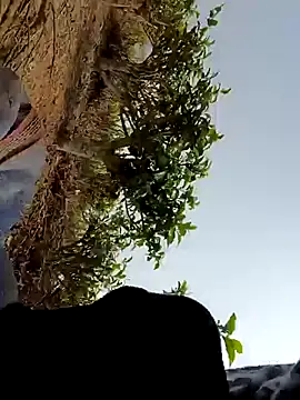 Queen suman online show from March 21, 7:24 am