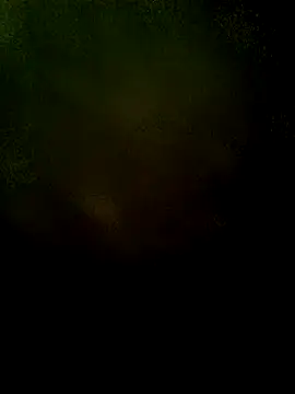 JAWHARA  online show from December 3, 8:12 am