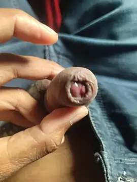 Snapshot of iaparna chatting on November 17, 7:58 am iaparna online show from November 17, 7:58 am