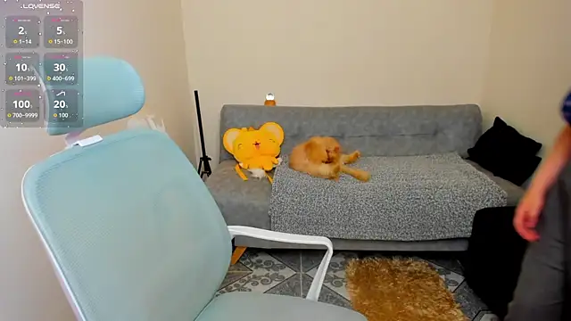 Sofiskies online show from June 5, 1:01 am