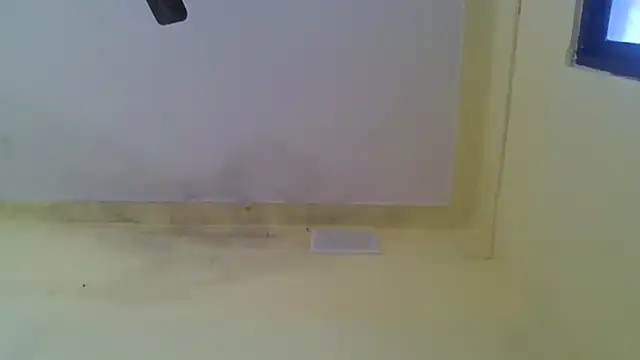 Snapshot of Nitya-Mahesh chatting on January 20, 9:24 am Nitya-Mahesh online show from January 20, 9:24 am