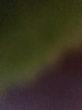 La Milli online show from December 5, 11:08 am