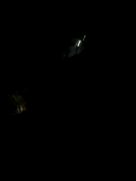 Snapshot of perlita05 chatting on November 16, 2:28 am perlita05 online show from November 16, 2:28 am