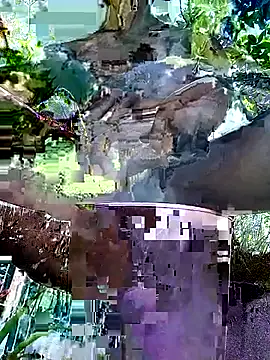 gwadaa9 online show from December 22, 6:16 pm