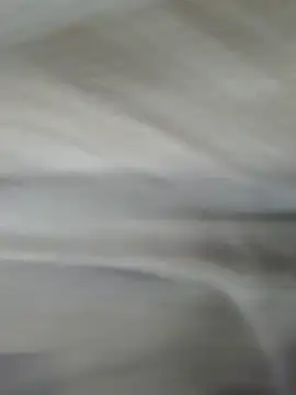 lm279 online show from November 1, 3:58 pm