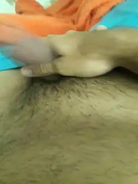 lm279 online show from November 14, 9:08 am