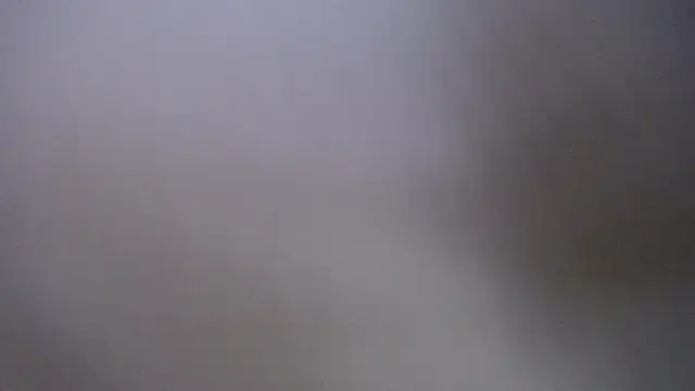 Andy Joy  online show from March 13, 10:33 am