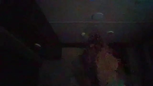 Snapshot of Cobra500hp chatting on February 11, 3:44 am Cobra500hp online show from February 11, 3:44 am