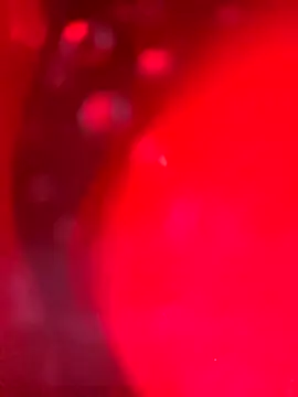 Snapshot of Cobra500hp chatting on March 28, 7:19 am Cobra500hp online show from March 28, 7:19 am