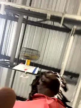 sneakylink13   online show from October 20, 1:17 am