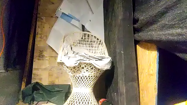 ed44435 online show from December 21, 5:36 am