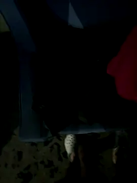 JosephAKenwood online show from December 2, 1:39 pm