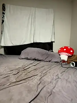 treatbobnicer online show from November 1, 12:12 am