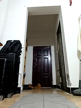 Snapshot of DDYY12341 chatting on November 18, 11:58 am DDYY12341 online show from November 18, 11:58 am